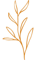 autumn leaves isolated on white background