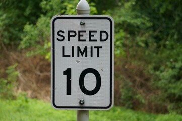 Close-up white speed limit traffic sign before the green trees