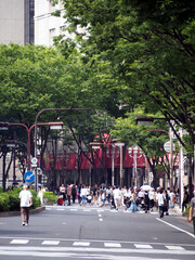 日本の「歩行者天国」
休日に道路が歩行者専用になる