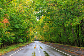 Fototapeta premium 足湯前の屈斜路摩周湖畔線「秋の北海道」