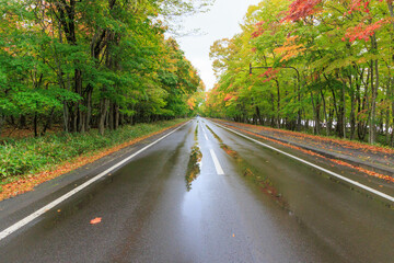 足湯前の屈斜路摩周湖畔線「秋の北海道」