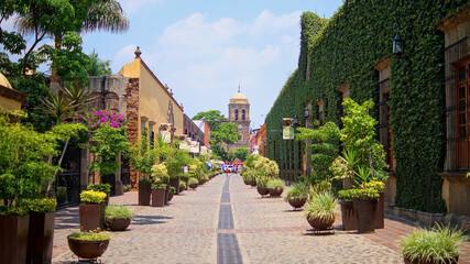stone path with flower pots on the sides, colonial mansions with vines all along the wall, in the background a church