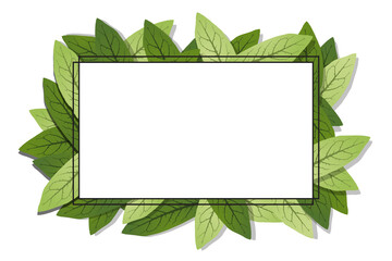 Geometric nature frame with leaves. Transparent background. Illustration