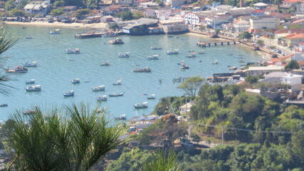 Obraz premium bird, animal, puffin, beak, nature, wildlife, duck, feather, wild, red, feathers, black, water, color, atlantic, sea, white, cormorant