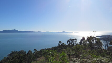 Fototapeta premium bird, animal, puffin, beak, nature, wildlife, duck, feather, wild, red, feathers, black, water, color, atlantic, sea, white, cormorant
