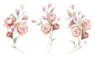 Watercolor floral bouquet of pink rose collection