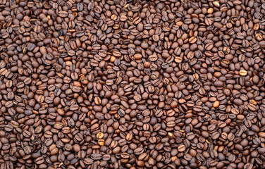 A close up of roasted coffee beans.