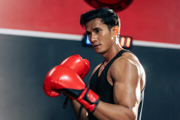 Portrait of Asian handsome sportsman wear boxing gloves in fitness gym. 