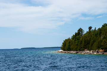 Fototapeta premium Forest by the Edge of a Lake