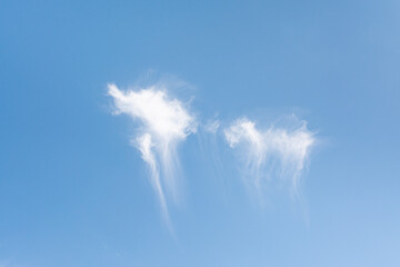 Ciel. Cirrus, nuages en forme de filaments.
