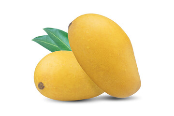 Golden Mango on isolated white background.