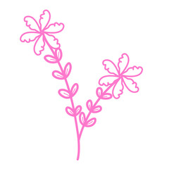 Pink flowers lineart