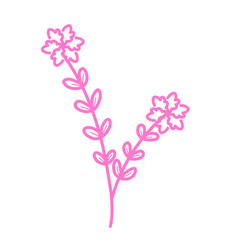 Fototapeta na wymiar Pink flowers lineart