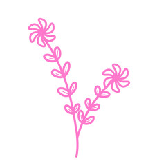 Pink flowers lineart