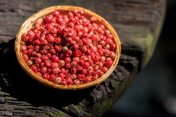 Dried red pepper fruits on nature background.