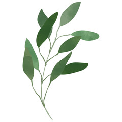 Eucalyptus Watercolor