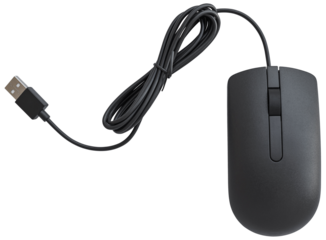 black computer mouse