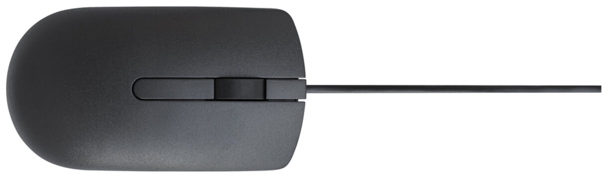 black computer mouse
