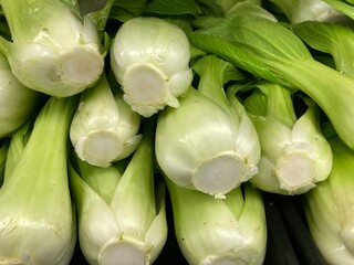 Fresh bok choy vegetable on display in the vegetable section of a grocery store