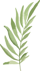 watercolor floral art set minimal style