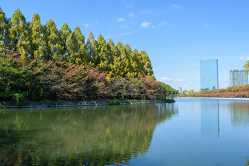 秋の大阪城公園のお堀
