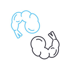 peeled shrimp line icon, outline symbol, vector illustration, concept sign