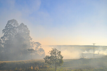 Fires in countryside of Rio Grande do Sul state, Brazil. Environmental disaster. Smokey landscape