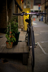 Fototapeta na wymiar 都会の路地に置かれた自転車と観葉植物　夕暮れ時