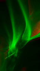 抽象的な模様を表現しました。