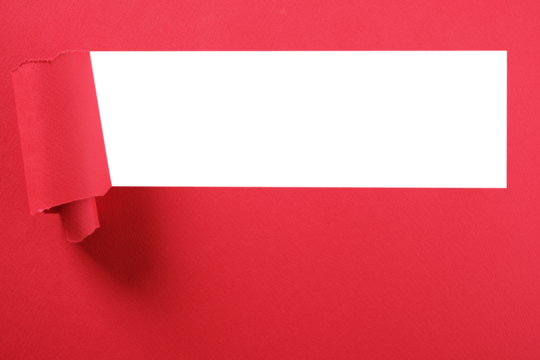 Torn red paper strip curled edge transparent background photo PNG file