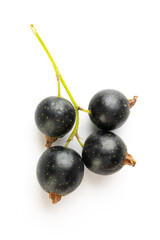 Black currants with leaves isolated on white background with clipping path