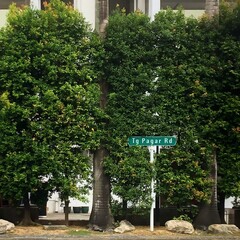sign in the singapore city
