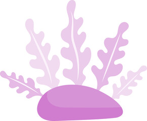 Fish and Marine Corals Under theSea