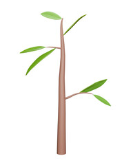 Tree 3d rendering on transparent background - PNG format.