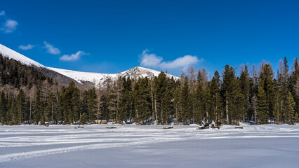 Tire tracks are visible in the snowy valley. Coniferous forest and mountains against a clear blue sky. Altai