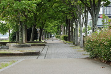 琵琶湖岸の公園の風景