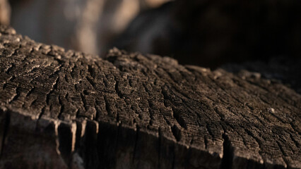 Tree Stump Wood Grain