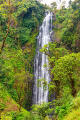 View of Materuni waterfall on the foot of the Kilimanjaro mountain in Tanzania