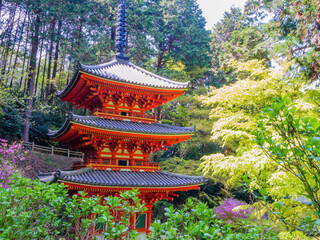 Three-storied pagoda at the Gansen-ji Tempke in Kizugawa City, Kyoto, Important Cultural Property of Japan