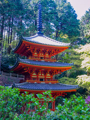 Three-storied pagoda at the Gansen-ji Tempke in Kizugawa City, Kyoto, Important Cultural Property...