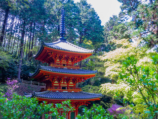 Three-storied pagoda at the Gansen-ji Tempke in Kizugawa City, Kyoto, Important Cultural Property...
