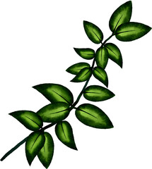 Obraz premium watercolour branches leaf