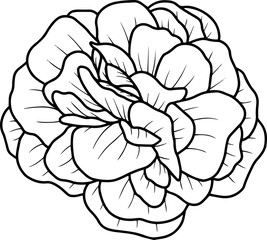 Hand Drawn Flower Sketch Line Art
