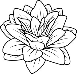Hand Drawn Rose Flower Sketch Line Art