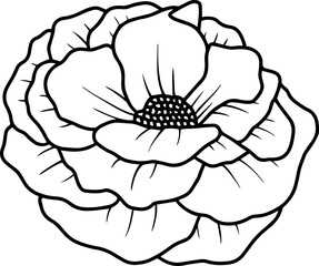 Hand Drawn Rose Flower Illustration
