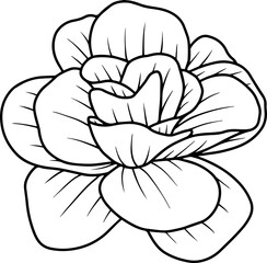 Fototapeta premium Hand Drawn Rose Flower Sketch Line Art