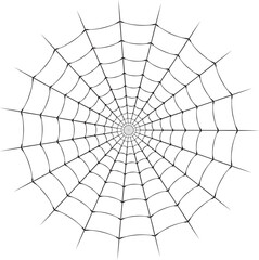 蜘蛛の巣を描いたベクターイラスト