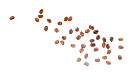 coffee beans. isolated on transparent background png file