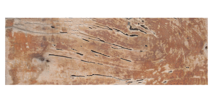 antique wood plank texture background on transparent png file