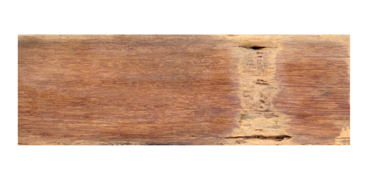 antique wood plank texture background on transparent png file